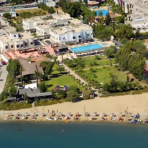 book here